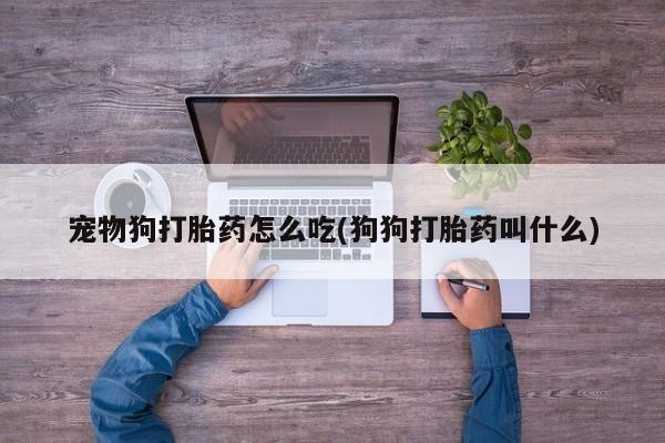 私人卖打胎药微信号宠物狗打胎药怎么吃(狗狗打胎药叫什么)