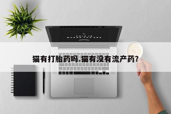 私人卖打胎药微信号猫有打胎药吗.猫有没有流产药？