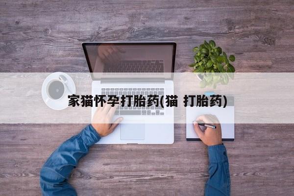 私人卖打胎药微信号家猫怀孕打胎药(猫 打胎药)